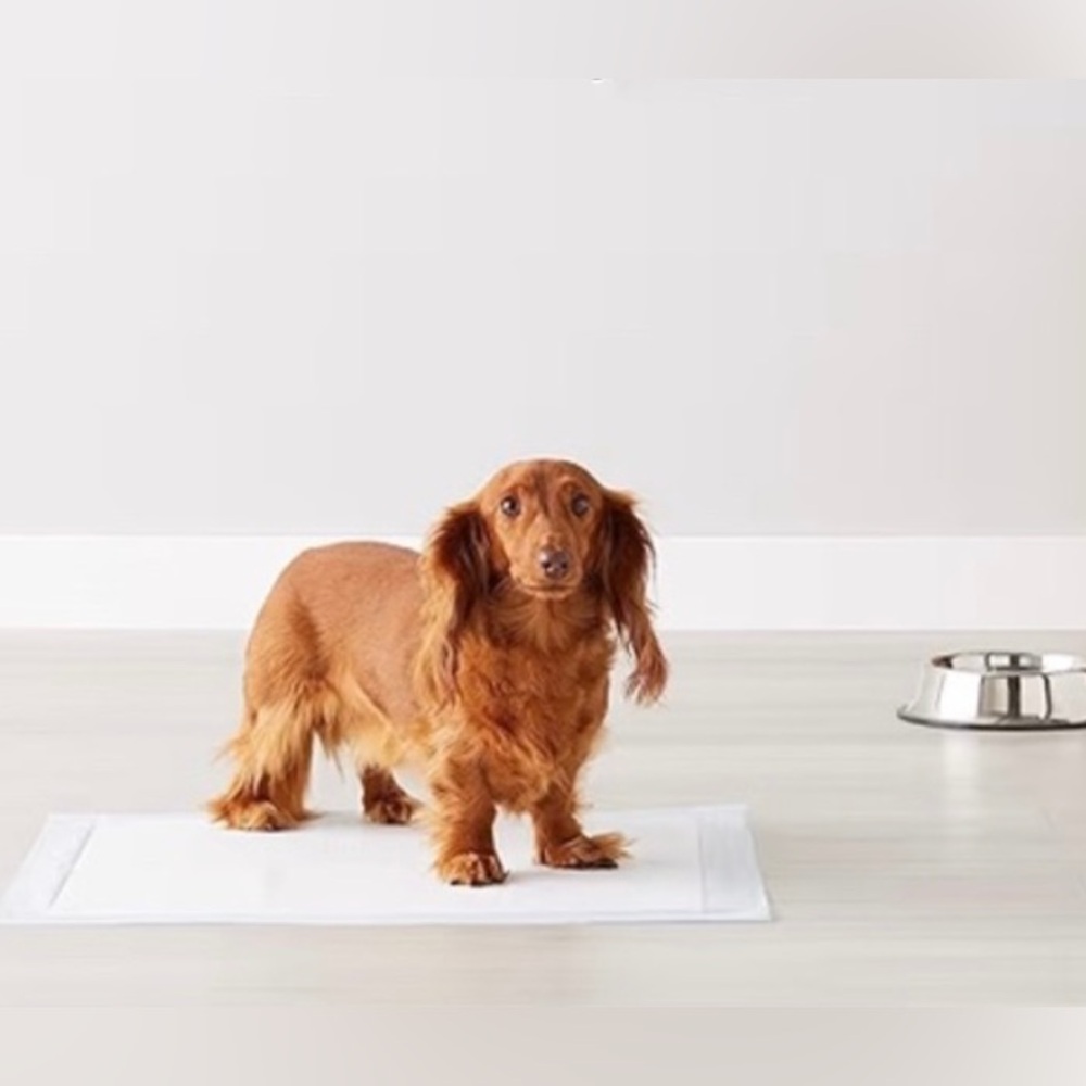 Amazon LeakProof Dog Puppy Cat Potty Training Pee Pads Regular Size 22”x22", #50